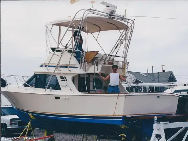 Blackfin Boats 29 Flybridge Convertible