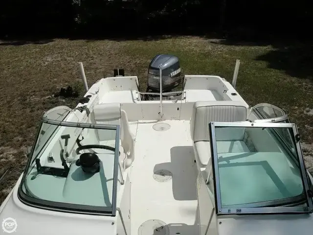 Boston Whaler 20 Dauntless