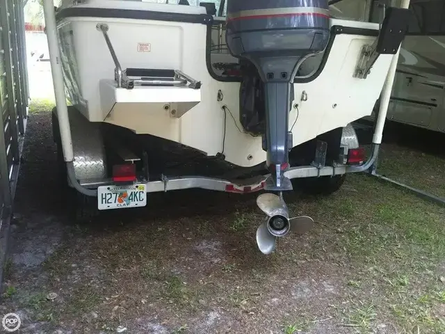 Boston Whaler 20 Dauntless