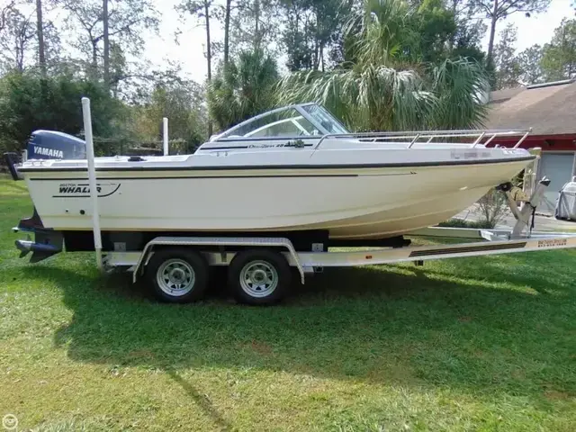 Boston Whaler 20 Dauntless