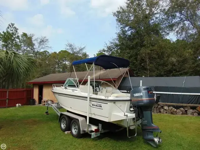 Boston Whaler 20 Dauntless