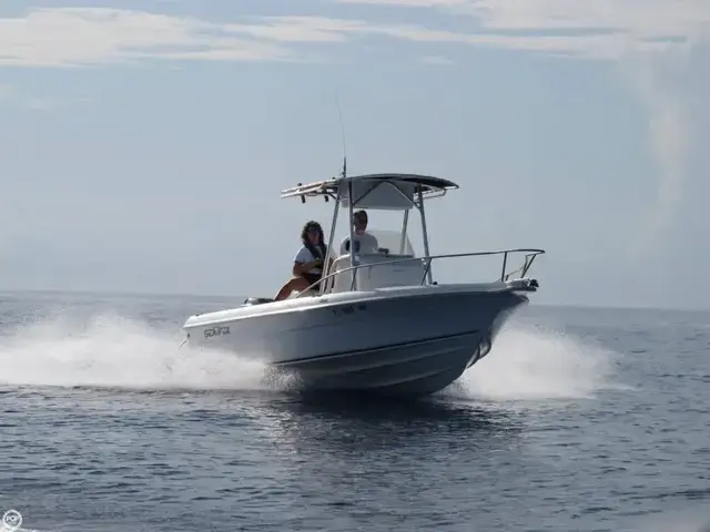 Sea Fox 217 Center Console