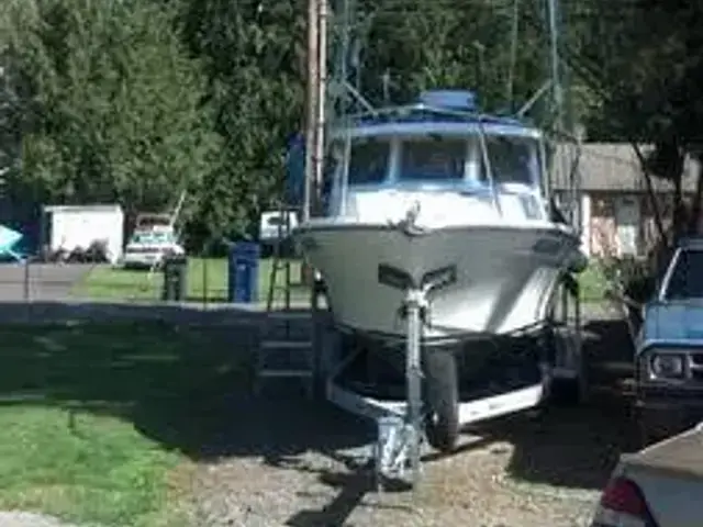 Skagit Orca 27 XLT