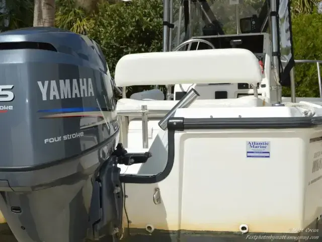 Boston Whaler 17 Outrage II