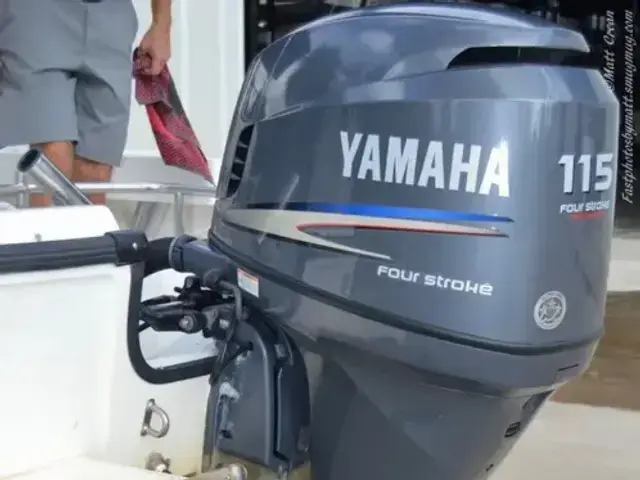 Boston Whaler 17 Outrage II