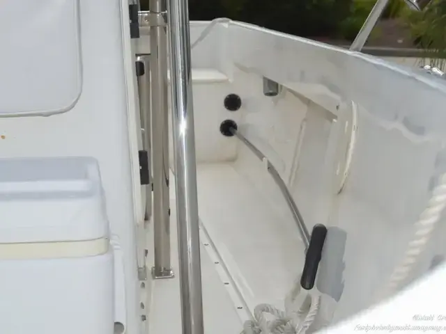 Boston Whaler 17 Outrage II