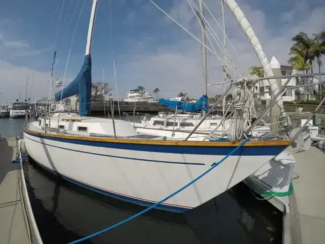 Morgan/Catalina Center Cockpit 382