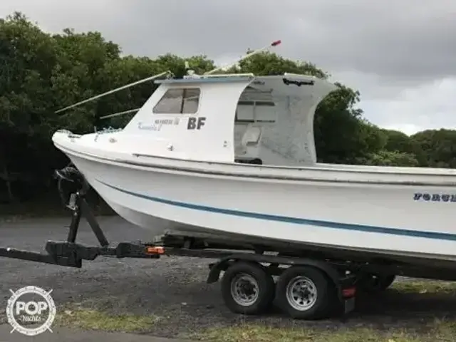 Force Boats 25