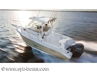 Seaswirl 2100 Wa Striper