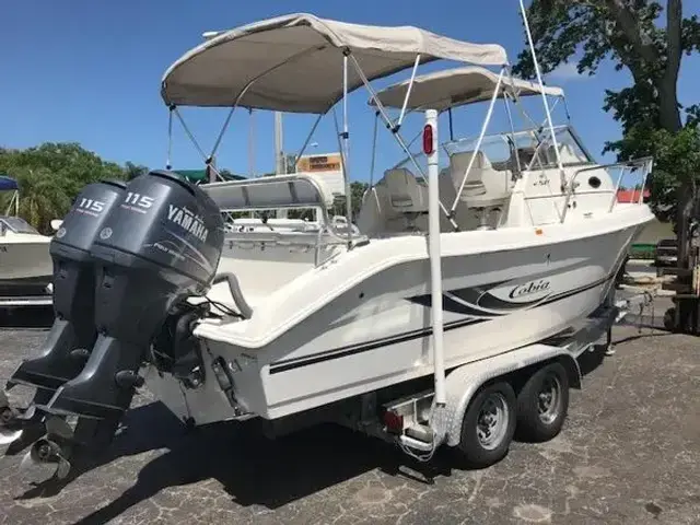 Cobia 250 Walk Around w TWIN YAMAHA