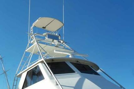 Hatteras Convertible/Enclosed FB