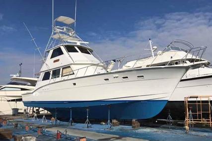 Hatteras Convertible/Enclosed FB