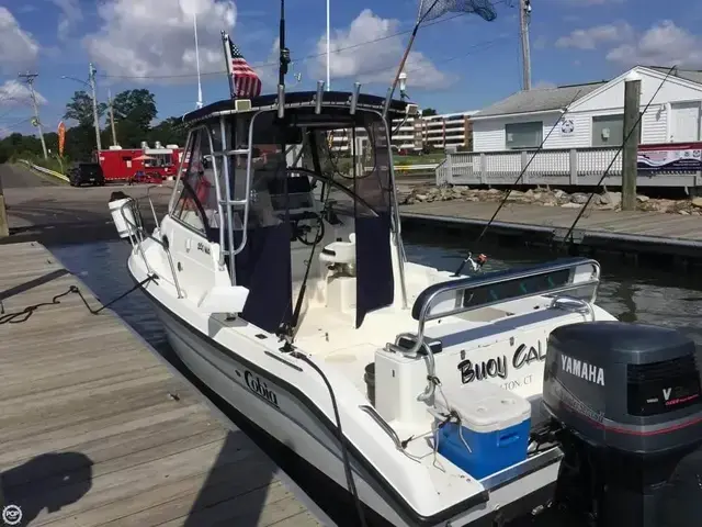 Cobia 240 Walkaround