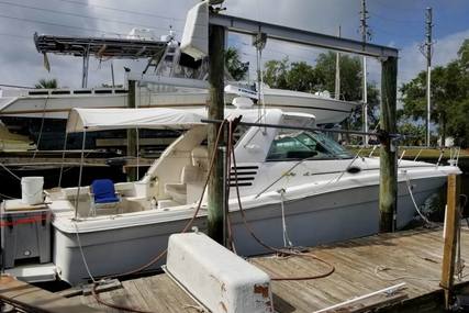 Sea Ray 370 Express Cruiser