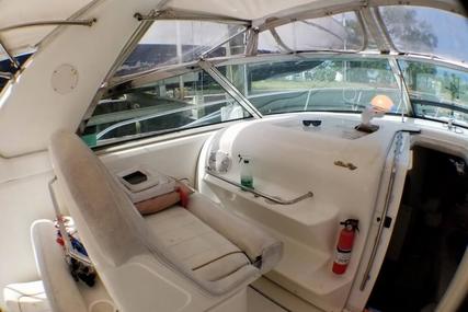 Sea Ray 370 Express Cruiser