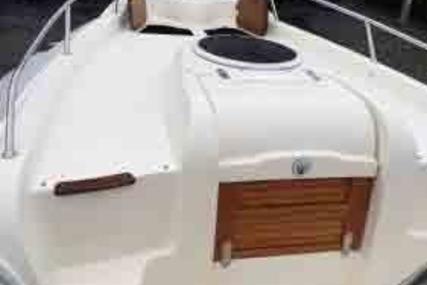 Marlin Boat Marlin 29 Cabin Mit Trailer