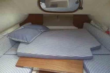 Marlin Boat Marlin 29 Cabin Mit Trailer