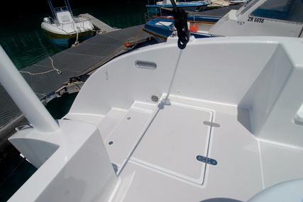 Tag Yachts 60