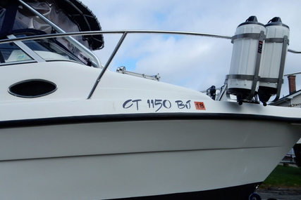 Cobia 240 Walkaround