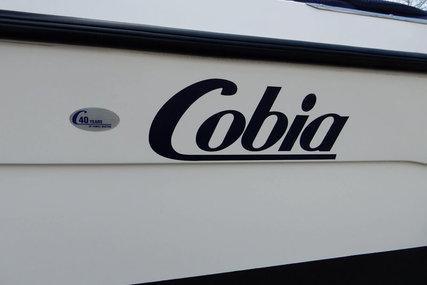 Cobia 240 Walkaround