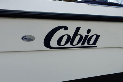 Cobia 240 Walkaround