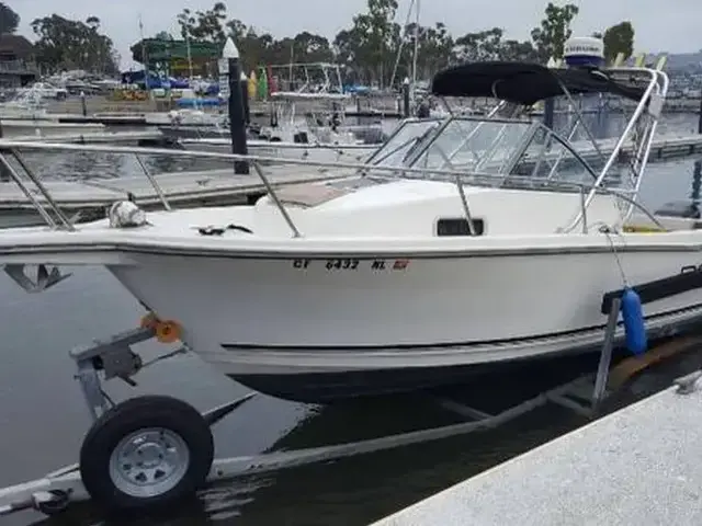 Robalo 2140 walk around