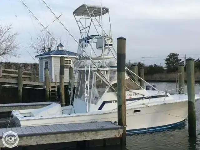 Topaz 29 Sportfish