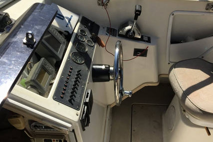 Robalo 2140 walk around