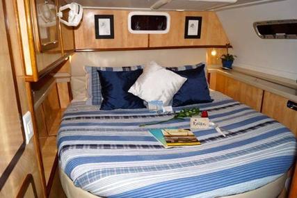 Royal Cape Catamaran Majestic 530