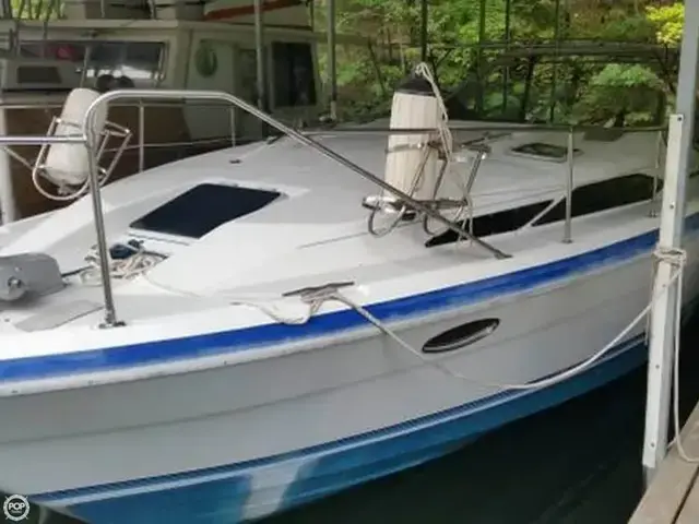 Bayliner Avanti 3450