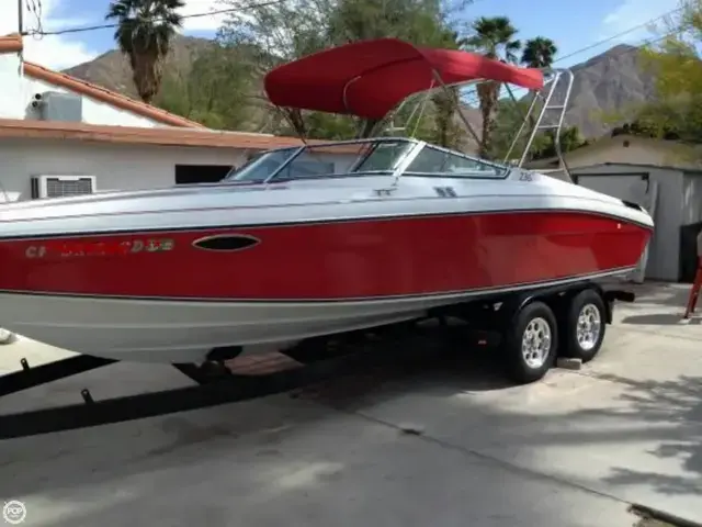 Rinker 236 Sport Cuddy