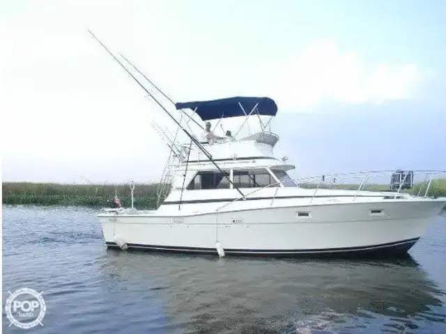 Viking 35 Sportfish