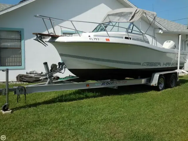 Chris-Craft 215 Sea-Hawk with Bracket