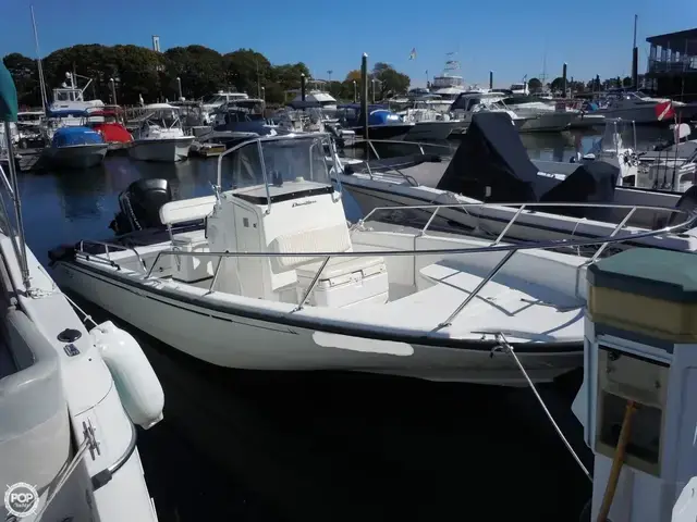 Boston Whaler 22 Dauntless