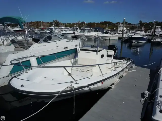 Boston Whaler 22 Dauntless