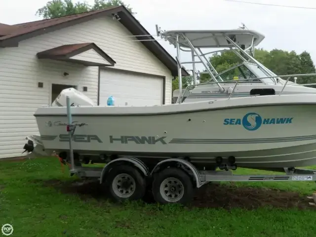 Chris-Craft 21 Seahawk