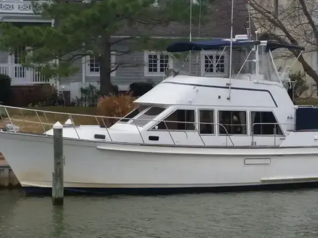 Island Gypsy 40