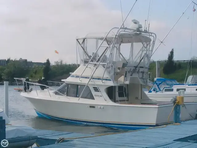 Blackfin Boats 29 Flybridge Convertible