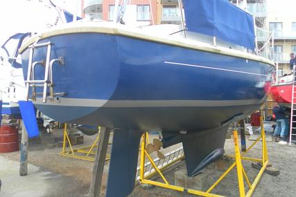 Van De Stadt Offshore 8m