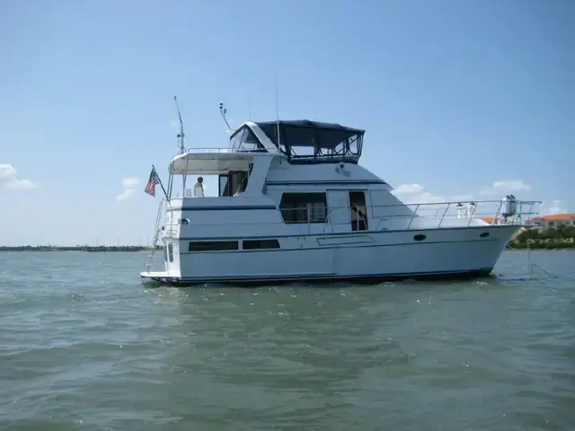 Transworld Trawler