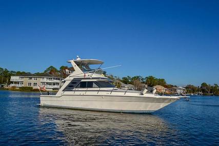 Sea Ray 440 Convertible