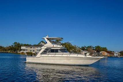 Sea Ray 440 Convertible