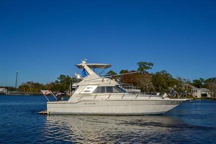 Sea Ray 440 Convertible