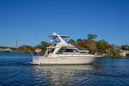 Sea Ray 440 Convertible