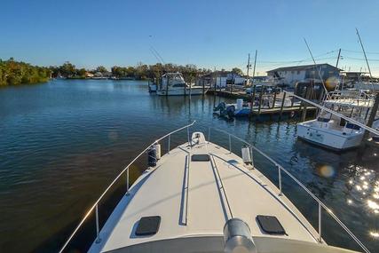 Sea Ray 440 Convertible