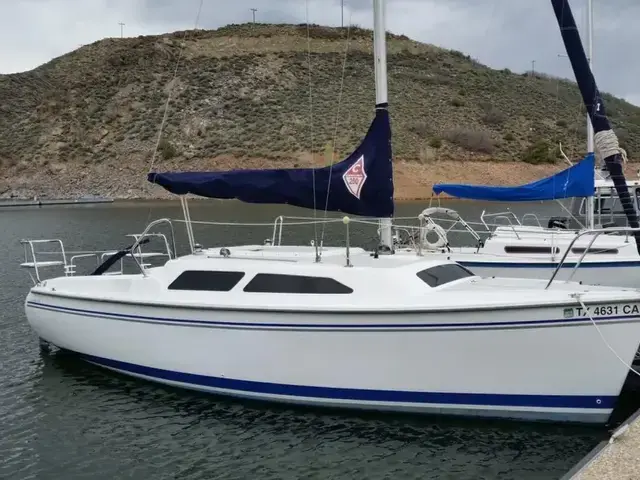 Catalina 250