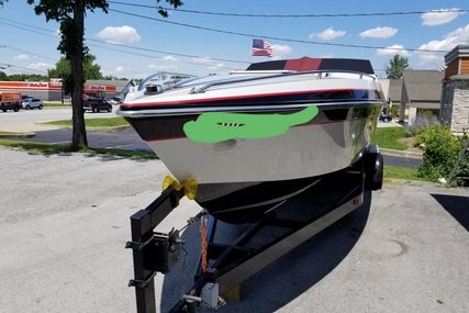 Chris Craft stinger 312