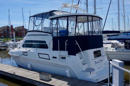 Mainship 37 Motor Yacht