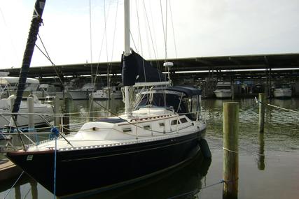 Islander 36 Sloop