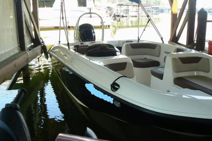 Bayliner Element XL 18